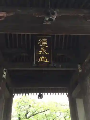 光長寺の山門