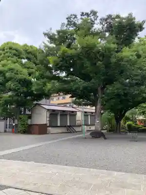 天祖諏訪神社(東京都)