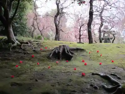 城南宮(京都府)