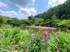 浄瑠璃寺の自然