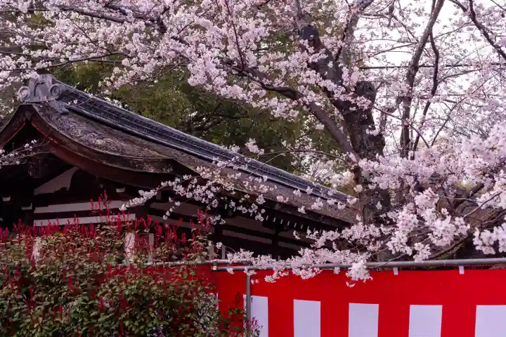 平野神社(京都府)