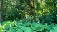美畑神社(北海道)