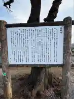 龍圓寺(埼玉県)