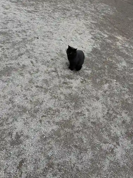 薦神社(大分県)