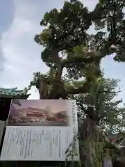 神田神社（神田明神）の庭園