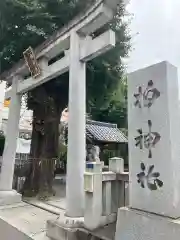 柏神社(千葉県)