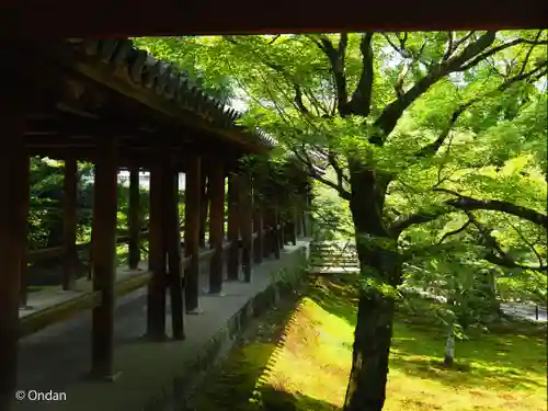 東福禅寺（東福寺）(京都府)