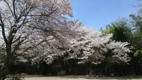 浄土真宗本願寺派宗光山教順寺の自然