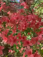 稲荷神社(長野県)