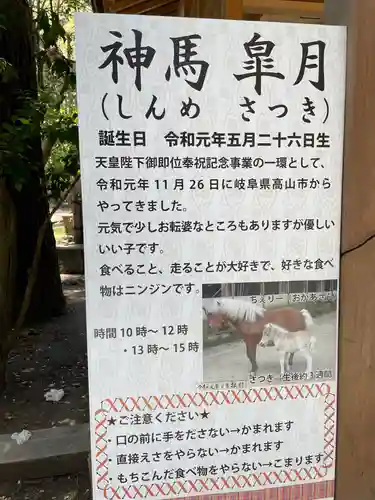 平塚八幡宮のその他建物