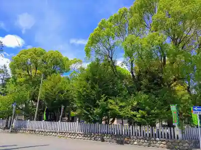 八幡社(四女子八幡社)の自然