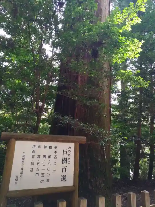 天岩戸神社の{uncategorized: "未分類", other: "その他", undefined: "問題あり", building: "その他建物", grave: "お墓", sacred_gate: "鳥居", guardian: "狛犬", statue: "像", buddha: "仏像", history: "歴史", nature: "自然", garden: "庭園", animal: "動物", pagoda: "塔", temizu: "手水舎", mountain_gate: "山門・神門", sanctuary: "本殿・本堂", subordinate: "末社・摂社", art: "芸術", scenery: "景色", jizo: "地蔵", ema: "絵馬", goshuin: "御朱印", omikuji: "おみくじ", items: "授与品その他", amulet: "お守り", goshuincho: "御朱印帳", eats: "食事", festival: "お祭り", votive_dance: "神楽", shichigosan: "七五三参", wedding: "結婚式", experience: "体験その他", initially: "初詣", around: "周辺", anti_infection: "感染症対策"}