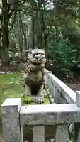 春日神社の狛犬