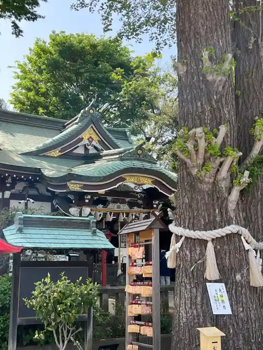 川越八幡宮(埼玉県)