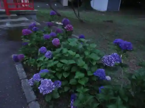 空知神社の自然