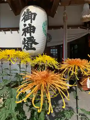 水堂須佐男神社(兵庫県)