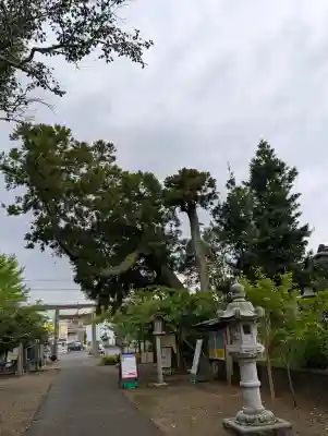 鎌数伊勢大神宮の{uncategorized: "未分類", other: "その他", undefined: "問題あり", building: "その他建物", grave: "お墓", sacred_gate: "鳥居", guardian: "狛犬", statue: "像", buddha: "仏像", history: "歴史", nature: "自然", garden: "庭園", animal: "動物", pagoda: "塔", temizu: "手水舎", mountain_gate: "山門・神門", sanctuary: "本殿・本堂", subordinate: "末社・摂社", art: "芸術", scenery: "景色", jizo: "地蔵", ema: "絵馬", goshuin: "御朱印", omikuji: "おみくじ", items: "授与品その他", amulet: "お守り", goshuincho: "御朱印帳", eats: "食事", festival: "お祭り", votive_dance: "神楽", shichigosan: "七五三参", wedding: "結婚式", experience: "体験その他", initially: "初詣", around: "周辺", anti_infection: "感染症対策"}