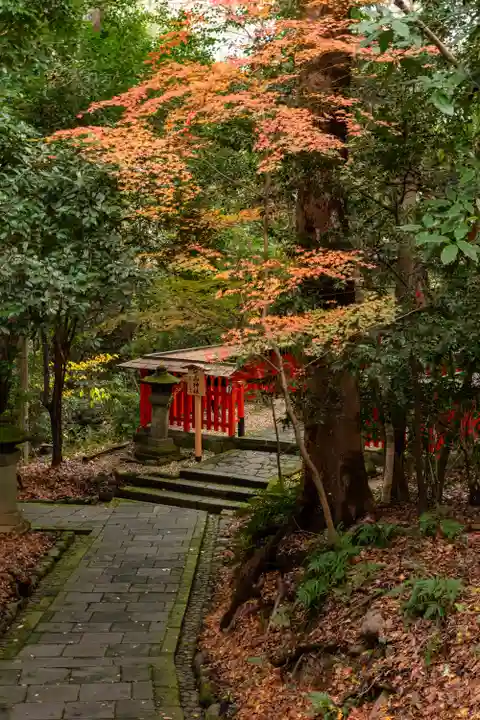 宇佐神宮(大分県)