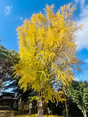 三栖神社(京都府)