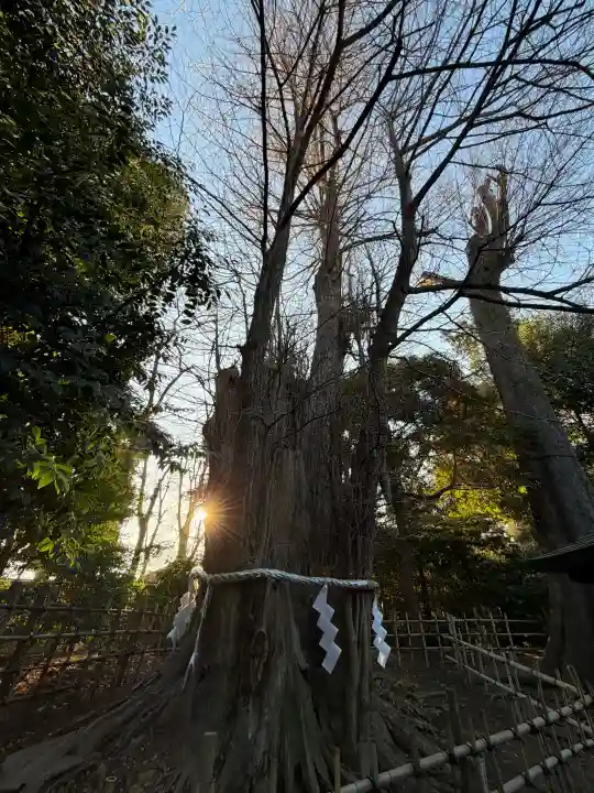 大國魂神社の{uncategorized: "未分類", other: "その他", undefined: "問題あり", building: "その他建物", grave: "お墓", sacred_gate: "鳥居", guardian: "狛犬", statue: "像", buddha: "仏像", history: "歴史", nature: "自然", garden: "庭園", animal: "動物", pagoda: "塔", temizu: "手水舎", mountain_gate: "山門・神門", sanctuary: "本殿・本堂", subordinate: "末社・摂社", art: "芸術", scenery: "景色", jizo: "地蔵", ema: "絵馬", goshuin: "御朱印", omikuji: "おみくじ", items: "授与品その他", amulet: "お守り", goshuincho: "御朱印帳", eats: "食事", festival: "お祭り", votive_dance: "神楽", shichigosan: "七五三参", wedding: "結婚式", experience: "体験その他", initially: "初詣", around: "周辺", anti_infection: "感染症対策"}