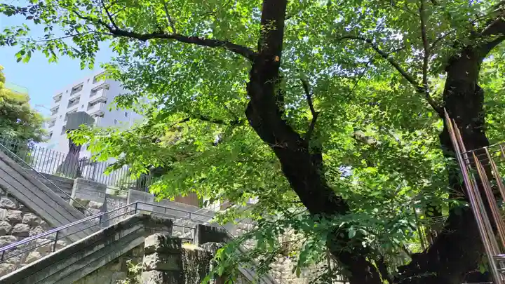 乃木神社(東京都)