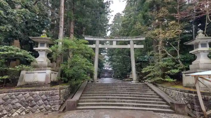 彌彦神社の鳥居