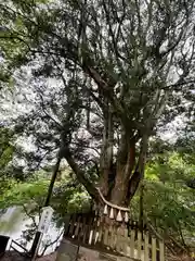 安房神社(千葉県)