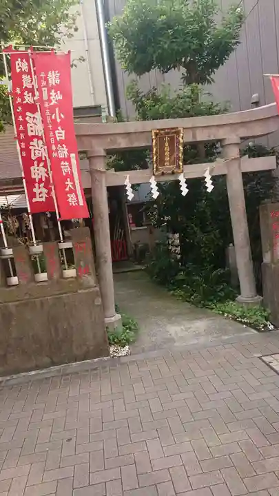 讃岐小白稲荷神社の鳥居