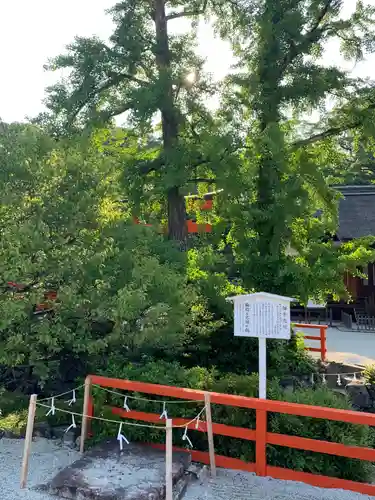 賀茂御祖神社（下鴨神社）の庭園