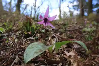 鹿島大神宮の周辺