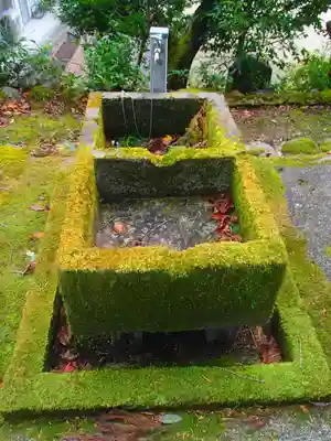 春日神社の手水舎