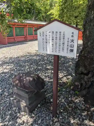 富士山本宮浅間大社の歴史