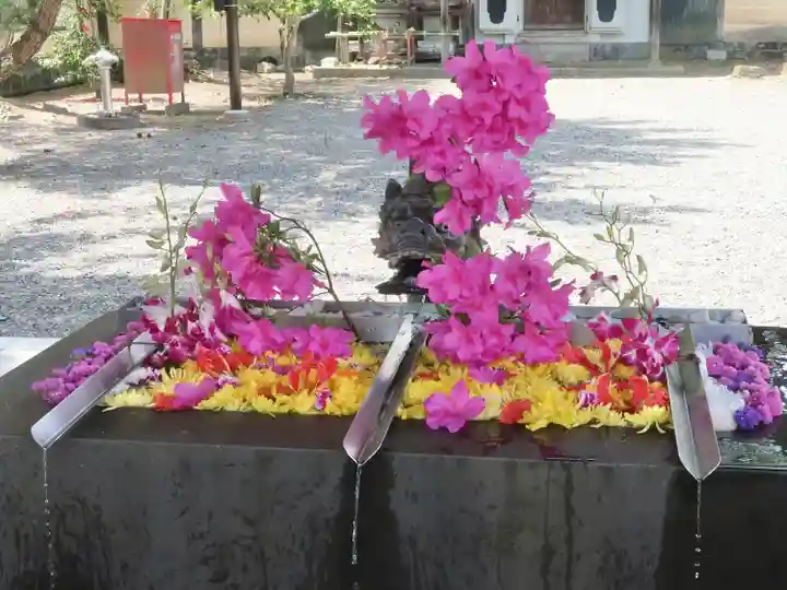 美濃國一宮 南宮大社の手水舎