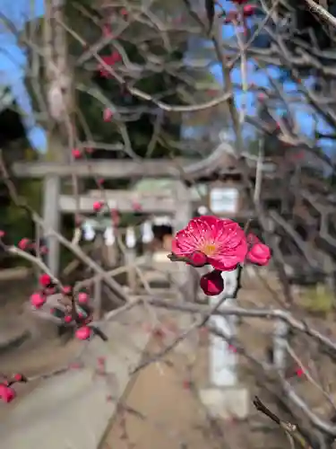 布多天神社(東京都)