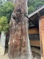 勝山八幡神社(山梨県)