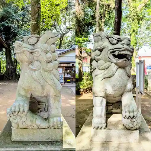 七百餘所神社 の狛犬