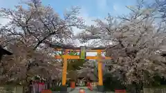 平野神社の鳥居