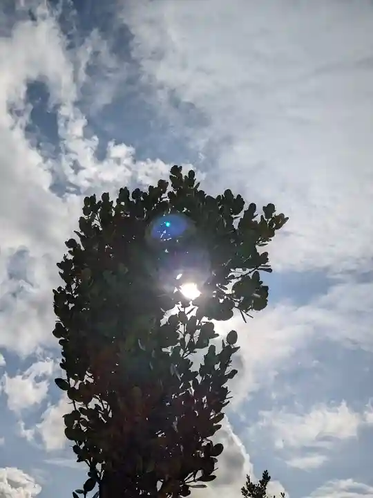 天久宮(沖縄県)