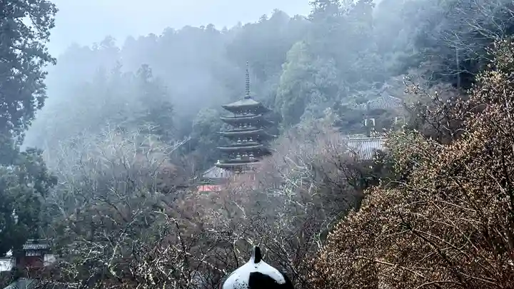 長谷寺(奈良県)