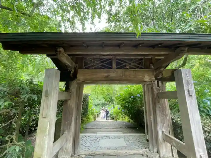 明月院(神奈川県)