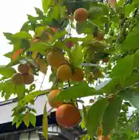 国上寺(新潟県)