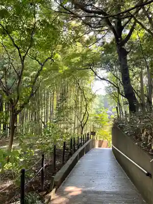 本土寺(千葉県)