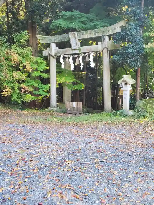 五所駒瀧神社の鳥居