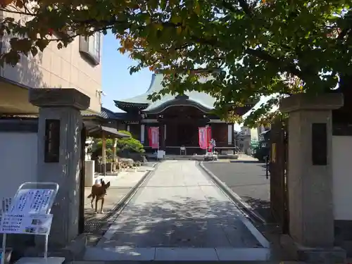 本久寺の山門・神門