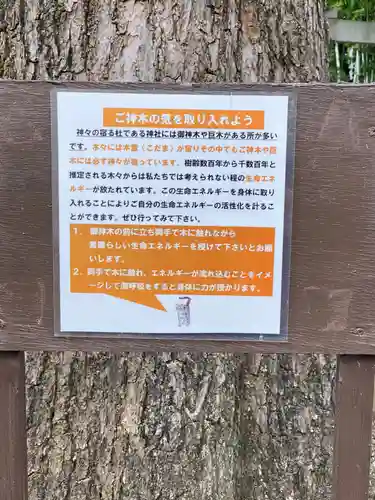 野々宮神社の歴史