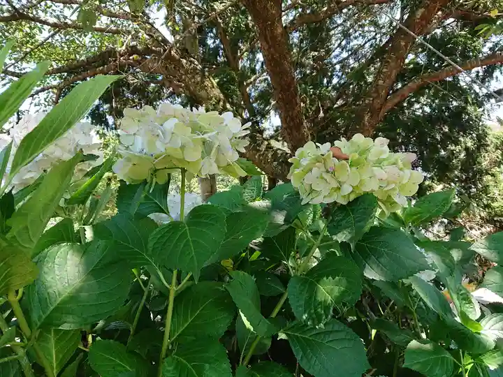 八雲神社の自然