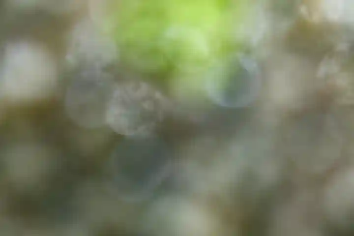 河上神社(兵庫県)