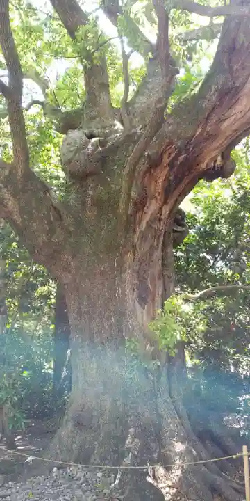 月夜見宮(豊受大神宮別宮)の自然