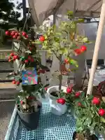 秋葉神社(岐阜県)