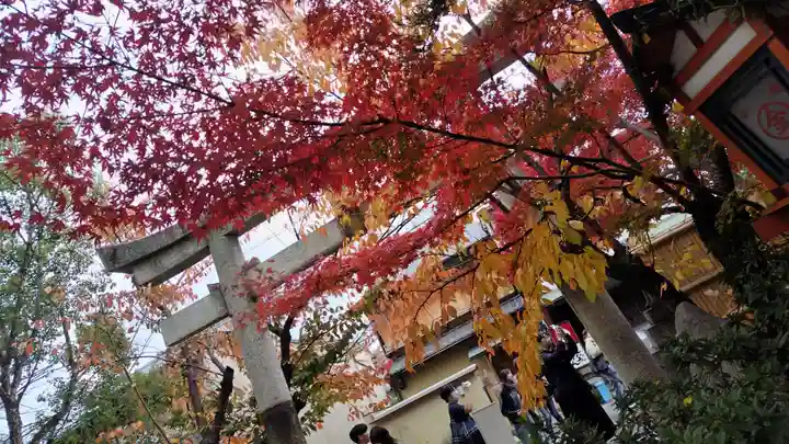 安井金比羅宮(京都府)